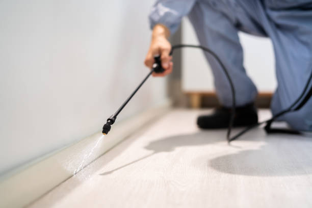 Licensed Rodent Control service in The Homesteads, TX - Nex Pest Control