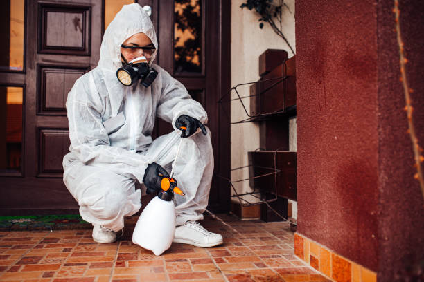 Reliable Rodent Control contractor in The Homesteads, TX by Nex Pest Control