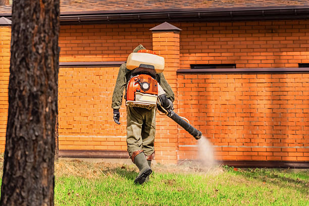 Trusted Cockroach Control service in The Homesteads, TX - Nex Pest Control